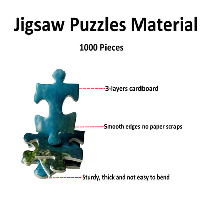 Yunlus Jigsaw Puzzles for Adults 1000 Pieces Impossible Hard Difficult Challenging Puzzles for Adults Teens 1000pc Puzzles Magical Castle Bookshelf Stories Jigsaw Puzzle 1000 Pieces 28 x 20 inch